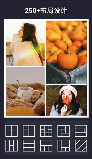 inCollagev1.447图2