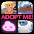 adopt me quiz游戏