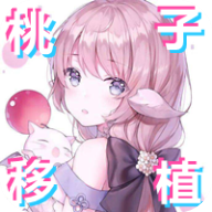 PixelBunny桃子移植有声音版