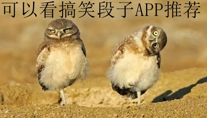 可以看搞笑段子APP推荐