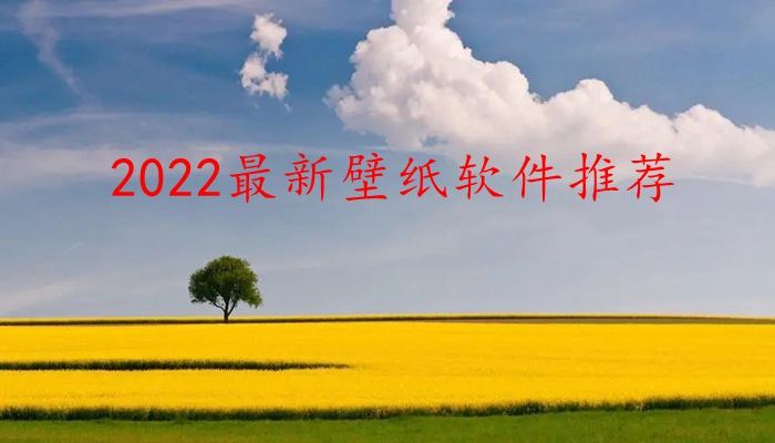 2022最新壁纸软件推荐