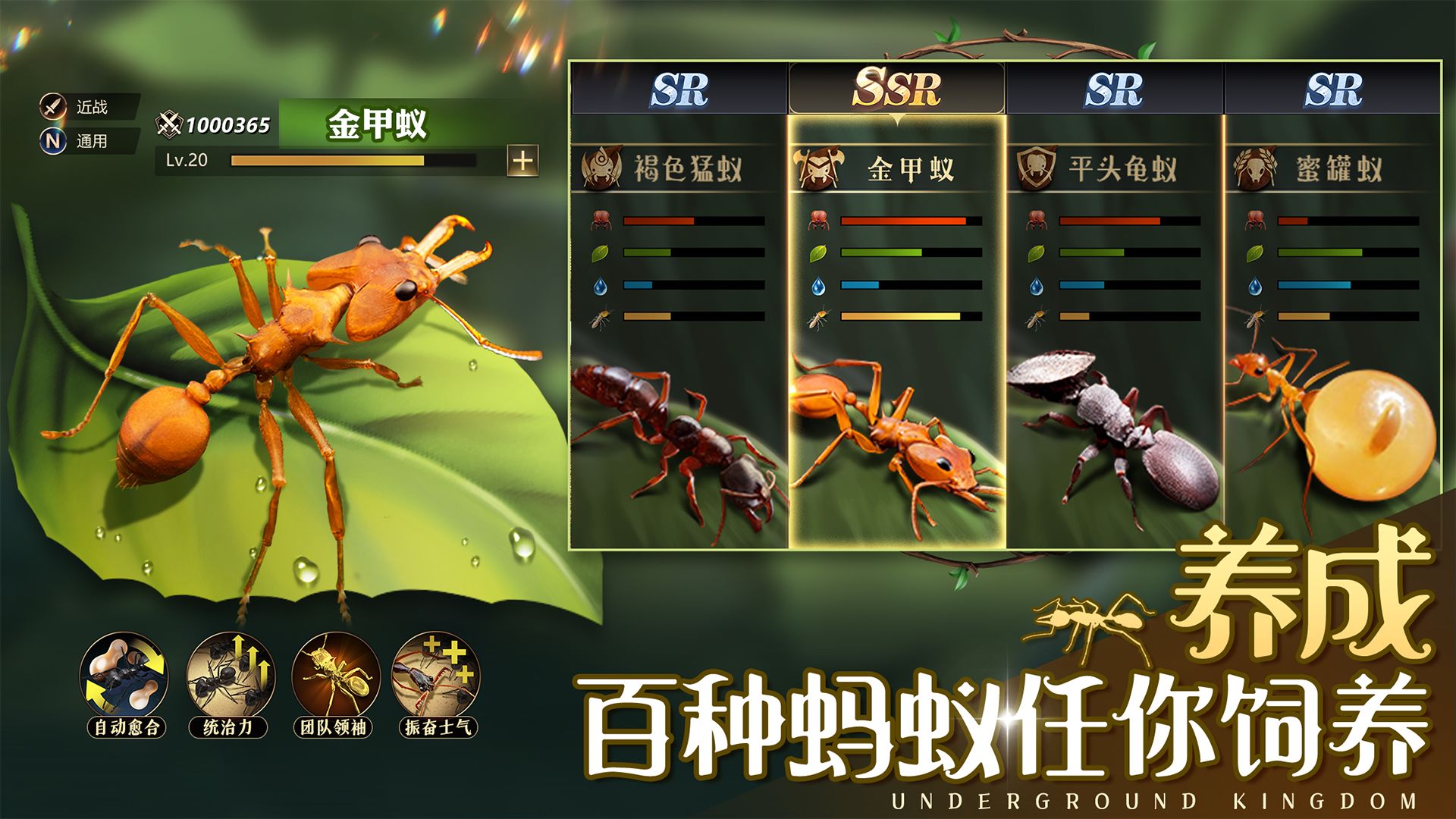 小小蚁国官服v1.34.0图1