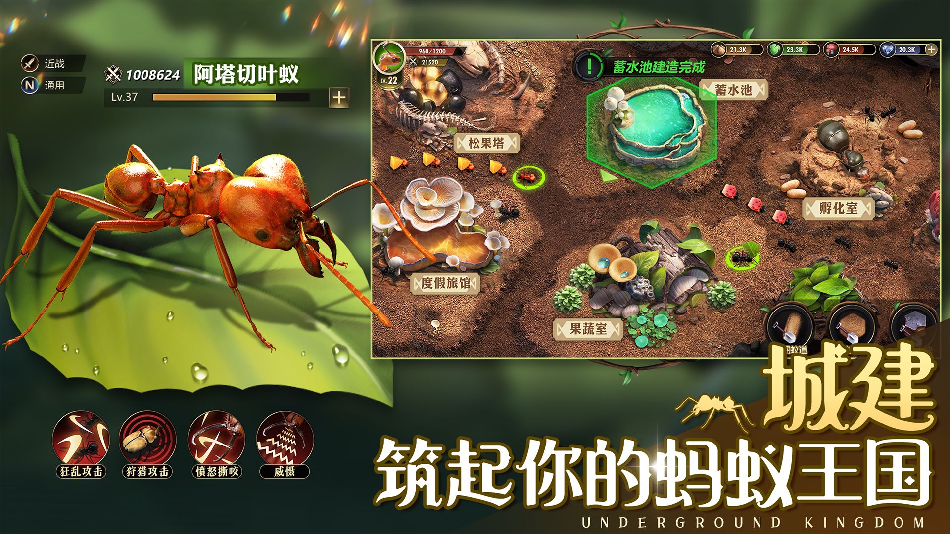 小小蚁国官服v1.34.0图2