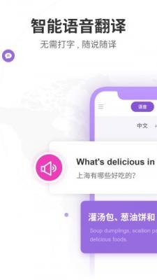 语音翻译器v1.0图2