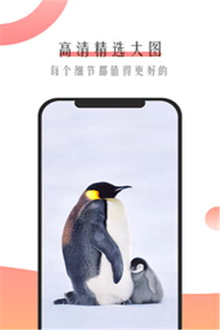 米柚壁纸v1.0.3图2