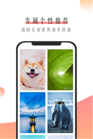 米柚壁纸v1.0.3图3