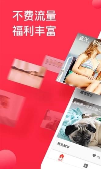 球球视频v2.8.50.329.1212图3