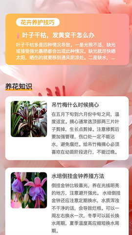 花蕊看看v1.0.1图3